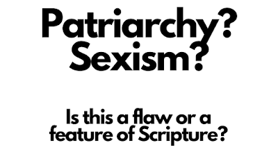 Patriarchy?  Sexism?  Is it a flaw or a feature?